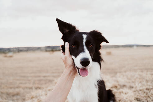 Woman embracing dog in field - EBBF00573