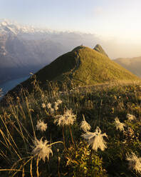 Hiker on viewpoint during sunset, Augstmatthorn, Switzerland - MALF00075