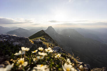 Hiker on viewpoint, Brentenjoch, Bavaria, Germany - MALF00085