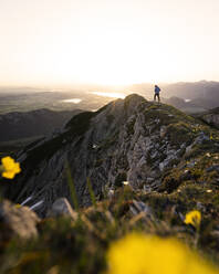 Wanderin auf Aussichtspunkt bei Sonnenaufgang, Brentenjoch, Bayern, Deutschland - MALF00087