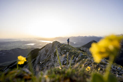 Wanderer auf dem Aussichtspunkt bei Sonnenaufgang, Brentenjoch, Bayern, Deutschland - MALF00088