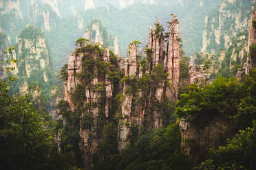 Hohe Klippen, bewachsen mit grünen tropischen Pflanzen bei nebligem Wetter in Zhangjiajie, Spanien - ADSF11040