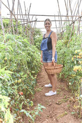 Frau mit Weidenkorb im Gewächshaus mit Tomatenpflanzen - VEGF02678