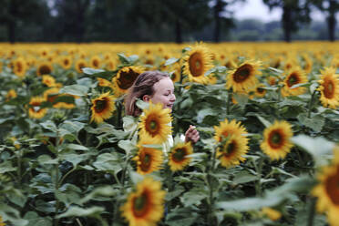 Lächelndes Mädchen läuft im Sommer in einem Sonnenblumenfeld - OGF00486