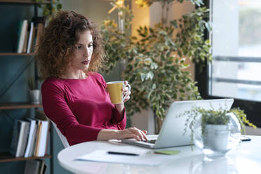 Schöne junge Geschäftsfrau, die eine Kaffeetasse hält, während sie einen Laptop am Schreibtisch im Heimbüro benutzt - JSRF01071