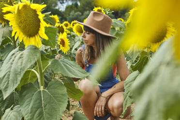 Frau hockt und bewundert Sonnenblumen auf einem Feld im Sommer - VEGF02713