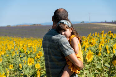 Vater trägt Tochter im Sommer in einem Sonnenblumenfeld - GEMF04076