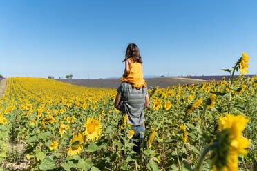 Father carrying daughter on shoulders in sunflower field against clear sky - GEMF04077