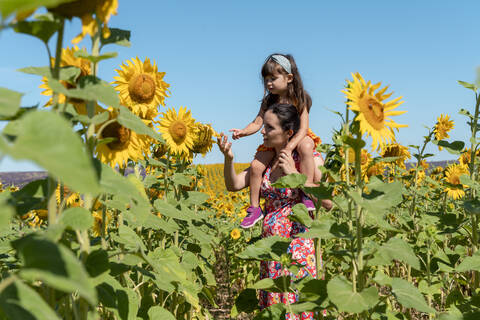 Single mother carrying daughter on shoulders in sunflower field stock photo