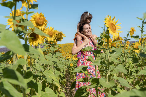 Lächelnde Mutter trägt ihre Tochter auf den Schultern in einem Sonnenblumenfeld im Sommer, lizenzfreies Stockfoto