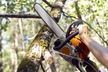 Hände eines Holzfällers, der einen Ast mit einer Kettensäge im Wald schneidet - VEGF02769