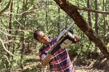 Lumberjack with protective glove using chainsaw to cut tree in forest - VEGF02771