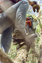 Lumberjack holding chainsaw while standing with leg on branch in forest - VEGF02772