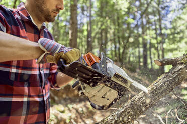 Lumberjack cutting branch with chainsaw in forest - VEGF02774