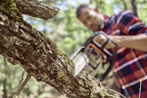 Holzfäller schneidet Ast mit Kettensäge im Wald - VEGF02775