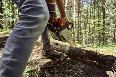 Holzfäller beim Schneiden von Baumstämmen mit einer elektrischen Kettensäge im Wald - VEGF02781