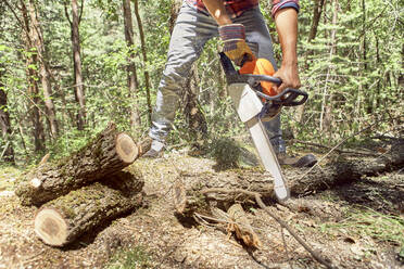 Holzfäller schneidet Ast mit elektrischer Säge im Wald - VEGF02782