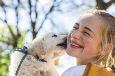 Ein englischer Golden-Retriever-Welpe leckt die Wange eines Mädchens im Teenageralter. - MINF15079