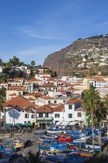 Camara de Lobos, Funchal, Madeira, Portugal, Atlantik, Europa - RHPLF17303