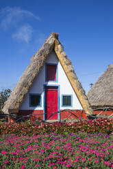 Traditionelle Häuser mit steilen, dreieckigen Strohdächern, Santana, Madeira, Portugal, Atlantik, Europa - RHPLF17306