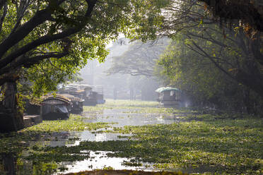 Boote auf den Backwaters, Alappuzha (Alleppey), Kerala, Indien, Asien - RHPLF17316