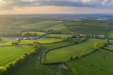 Grüne Frühlingslandschaft im abendlichen Sonnenlicht, Livaton, Devon, England, Vereinigtes Königreich, Europa - RHPLF17336