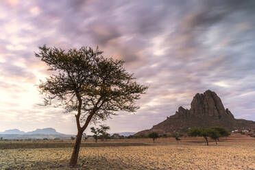Einsame Bäume bei Sonnenuntergang, Gheralta-Gebirge, Hawzen, Region Tigray, Äthiopien, Afrika - RHPLF17411