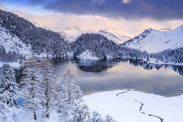 Sunrise over Lake Cavloc after a snowfall, Bregaglia Valley, Engadine, canton of Graubunden, Switzerland, Europe - RHPLF17417