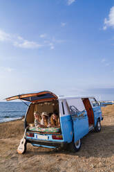 Cheerful pleasant ladies lying on trunk of bright minivan with guitar leaning nearby on beach in sunny day - ADSF11232