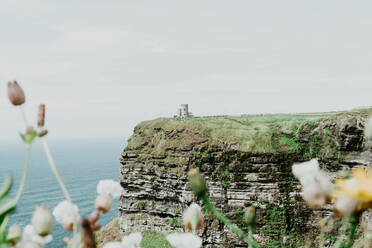 Cliffside auf den Cliffs of Moher mit Blick auf O'briens Tower in Irland - CAVF88418