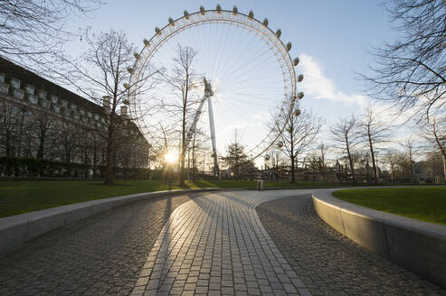 Millennium-Riesenrad London Eye und leere Wege in einem Park bei Sonnenuntergang - CUF56397