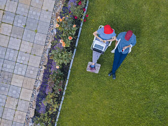 Aerial view of couple sitting in garden - KNTF05259