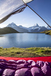 Zelt am Ufer des Bachalpsees im Morgengrauen aufgeschlagen - MALF00145