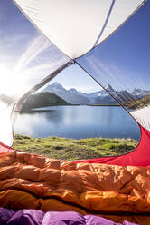 Zelt am Ufer des Bachalpsees bei Sonnenaufgang aufgeschlagen - MALF00146