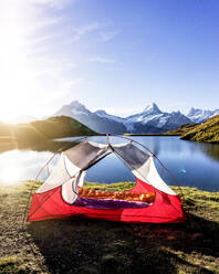 Zelt am Ufer des Bachalpsees bei Sonnenaufgang aufgeschlagen - MALF00148