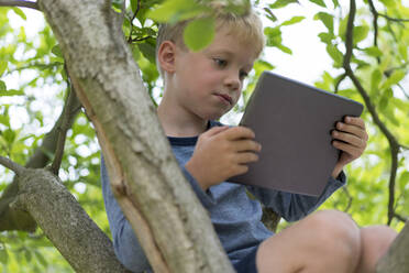Niedlicher Junge, der ein digitales Tablet benutzt, während er auf einem Baumzweig sitzt - MOEF03118