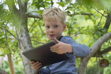 Niedlicher Junge sitzt mit digitalem Tablet auf einem Baumzweig - MOEF03174