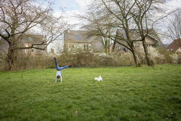 Girl doing headstand by dog in backyard - JOSEF01539