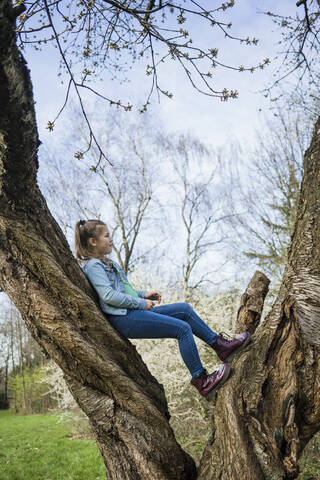 Girl standing on tree trunk in public park stock photo