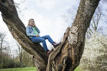 Smiling girl talking on smart phone while leaning over tree trunk in park - JOSEF01544