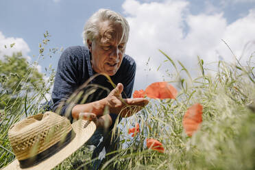 Zerknitterter Mann mit Hut betrachtet Blume gegen bewölkten Himmel - GUSF04411