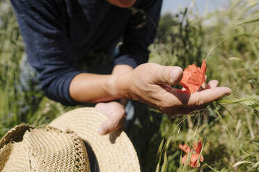 Mann mit Hut berührt Blume an einem sonnigen Tag - GUSF04412
