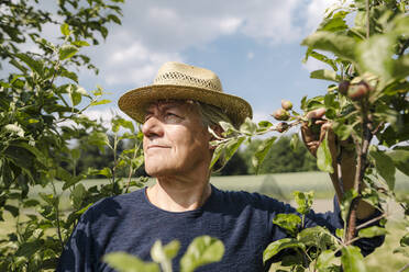 Runzliger Mann, der in einem landwirtschaftlichen Feld wegschaut - GUSF04420