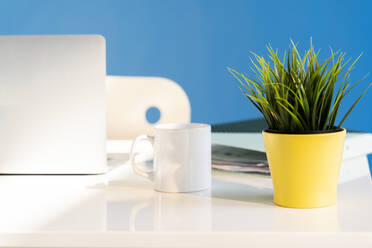 Office desk with laptop, white cup and yellow plant pot - AFVF06981