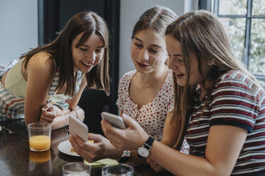 Group of teenage girls meeting for brunch, looking at smartphones - MFF05996