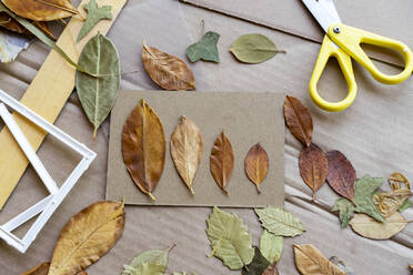 Trockene Blätter mit einer Schere auf Karton - AFVF07014