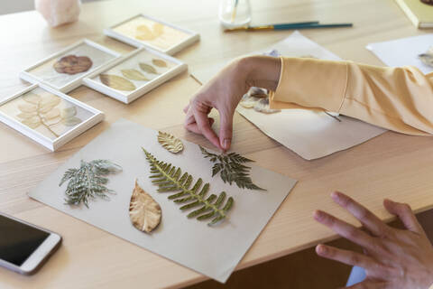 Hands of young woman arranging dry leaves on cardboard at table stock photo