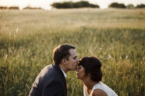 Bräutigam küsst auf die Stirn der Braut auf einem Feld bei Sonnenuntergang - SAJF00063