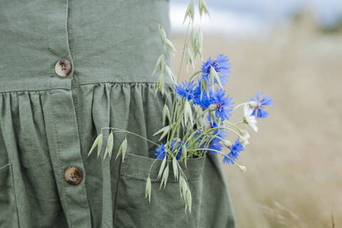 Bouquet of blue flowers and oat in the pocket of green dress stock photo