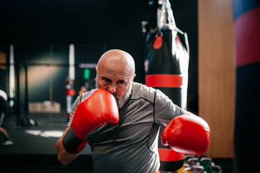 Strong focused mature adult sportsman in red boxing gloves practicing punches during workout in modern club - ADSF12109